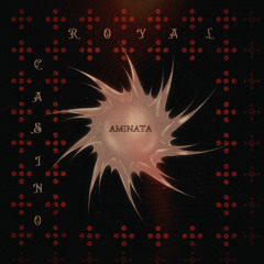 AMINATA RADIO EDIT (ADAM PORT)