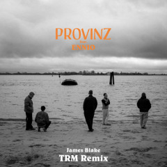 Provinz feat. ENNIO - James Blake (TRM Radio Edit)