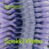 MNMT 480 : Spekki Webu DJ mix artwork - Electronic music tracklist cover image