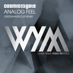 Analog Feel (Greenhaven DJs Extended Remix)