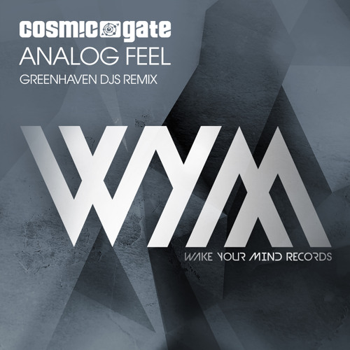 Analog Feel (Greenhaven DJs Extended Remix)