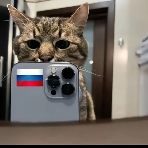 OBBO, YONCE, YOUK3IV — Don Bobrelli Funk