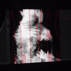 2lives prod. ladlegard