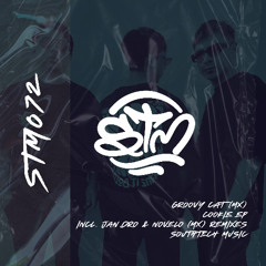 Premiere: Groovy Cat (MX) - Terrify Of Seeing You (Novelo MX Remix) | STM SouthTech Music