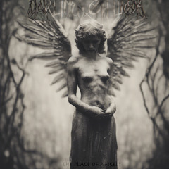 The Place of Angels