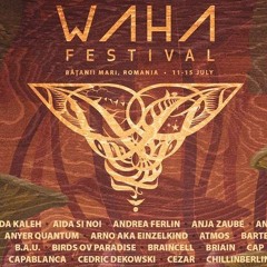 Anyer Quantum DJ Set @ Waha Festival 2019 /// Romania