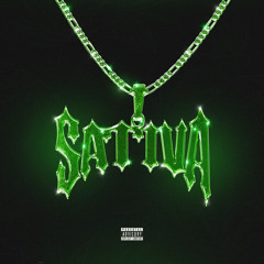 Sativa
