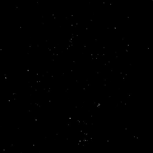 Город White