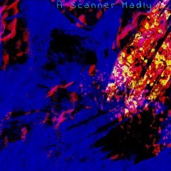 A SCANNER MADLY