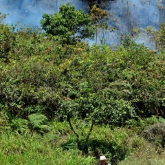 lagkitan - prod by medmessiah (non profit)