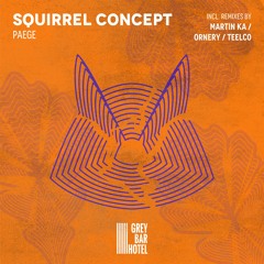 Squirrel Concept (Original Mix) [Grey Bar Hotel Rec.]
