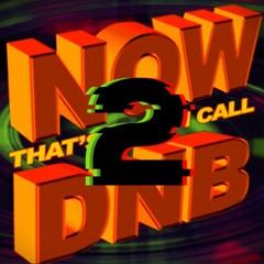 Now That's What I Call DnB 2