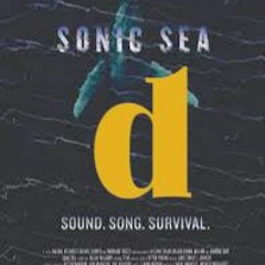 Misty Melancholy Zone - P Mix