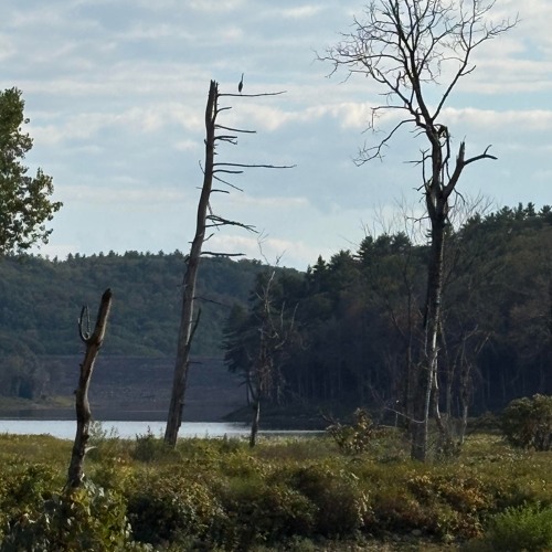 Wait - One - Minute - More