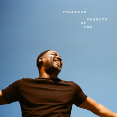 Tender Defender (feat. Theo Katzman)