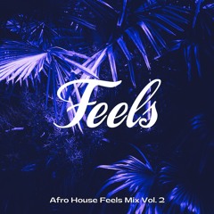Afro House Feels Mix Vol. 2