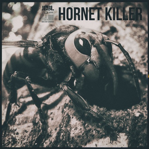 [FREE] "Hornet Killer" | JCBL | Underground Type Beat | Abstract Type Beat | Experimental Type Beat