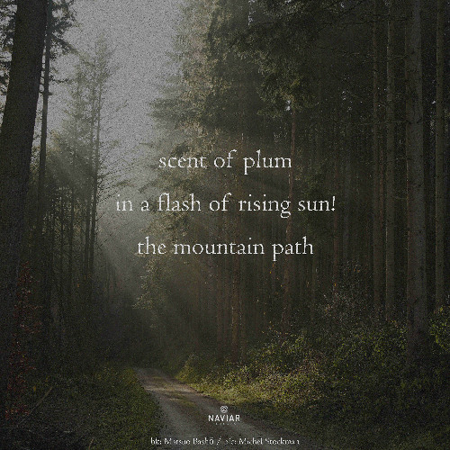 the mountain path (naviarhaiku 602)