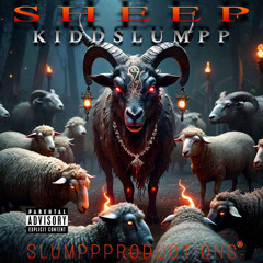 Sheep