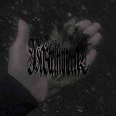 Northern Wings Radio w/ PastelFuneral - Jan 29, 2023