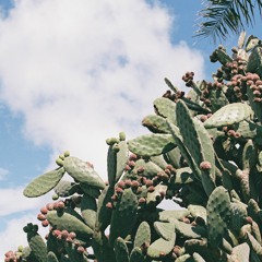 Expedición de Cumbia - Live DJ Set @ The Rising Tide