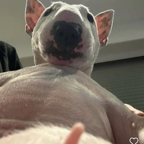 up