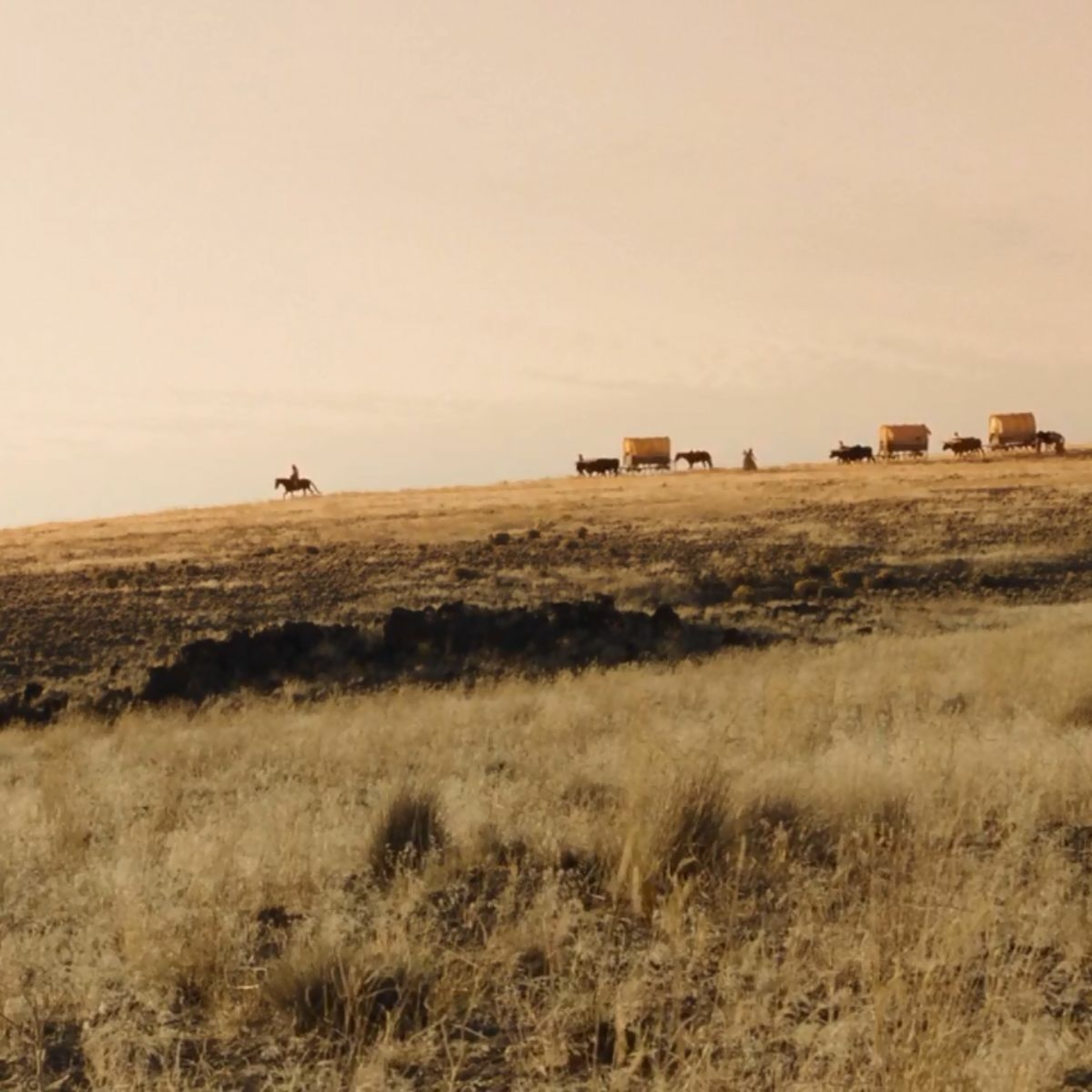 Film Graze