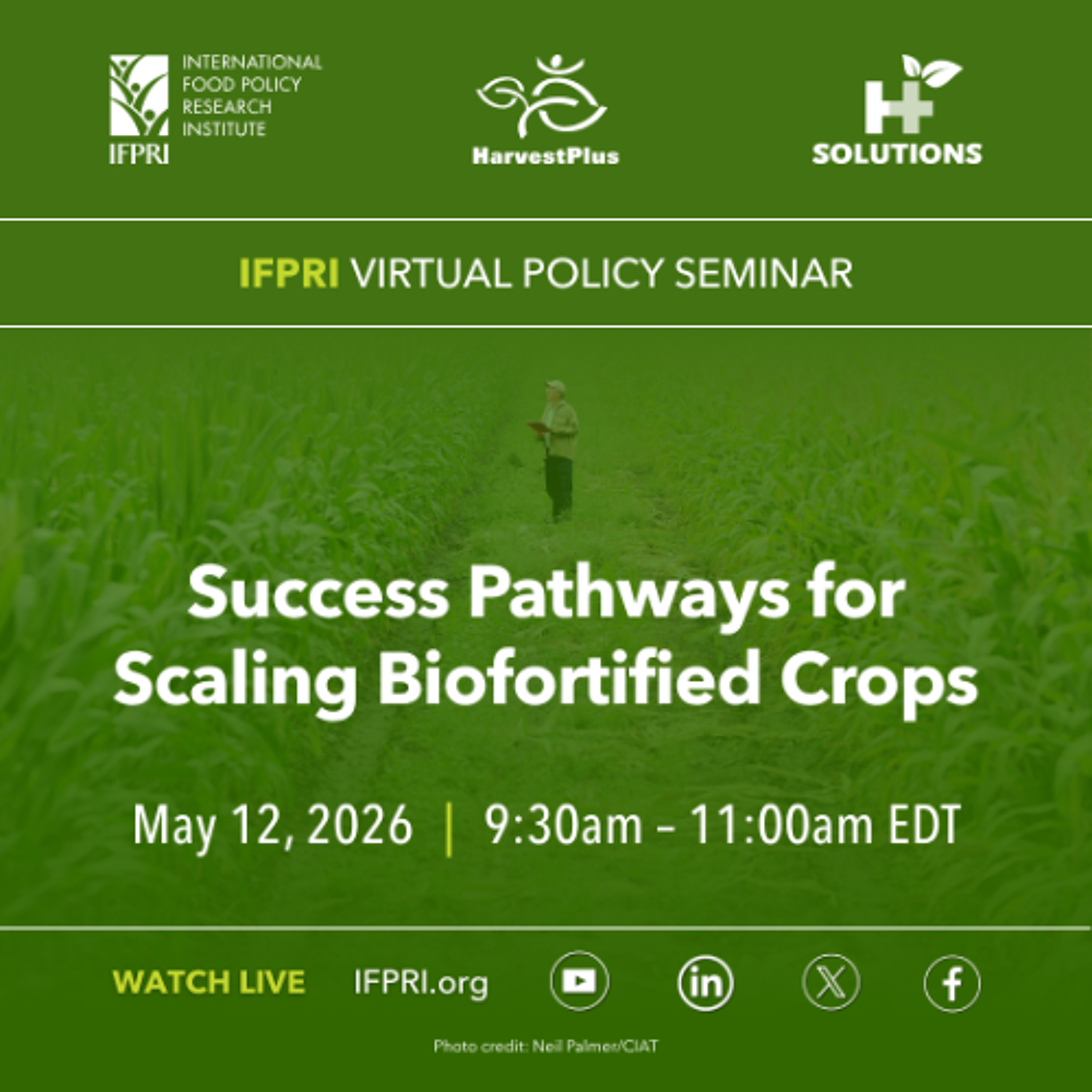Success Pathways for Scaling Biofortified Crops episode artwork
