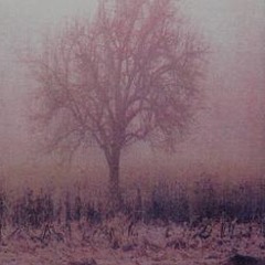 Eisenwinter - Duester sind die Transylvanischen Schatten