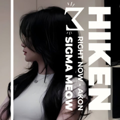 Right Now (HIKEN Remix · Vinahouse) - Akon | Sigma Meow