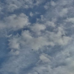 Отпущу Colorit