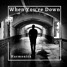 When You're Down - Harmonics (Spinnin' Records)