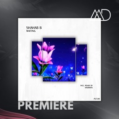 PREMIERE: Shahab B - Waiting (Extended Mix) [Polyptych]