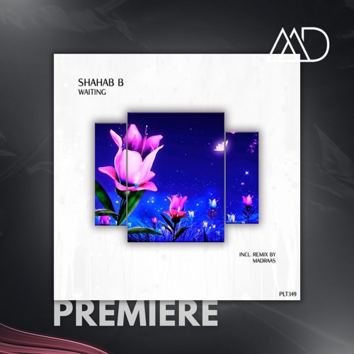PREMIERE: Shahab B - Waiting (Extended Mix) [Polyptych]
