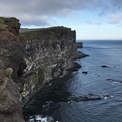 Iceland, Seagulls In Látrabjarg, July 2022