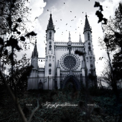 Город серой готики