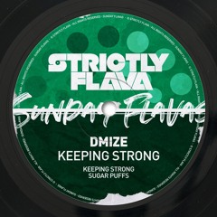 Dmize - Keepin Strong