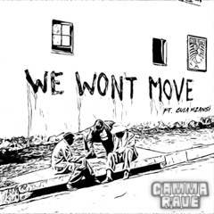 We Won't Move (ft. Cula Mzansi)