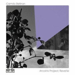 DC Promo Tracks #859: Camilo Beltran "Reverie IV"