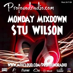 #271 Profound Radio Progressive House @djstuwilson