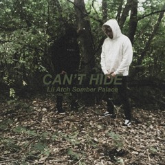 Can't Hide (feat. Somber Palace)