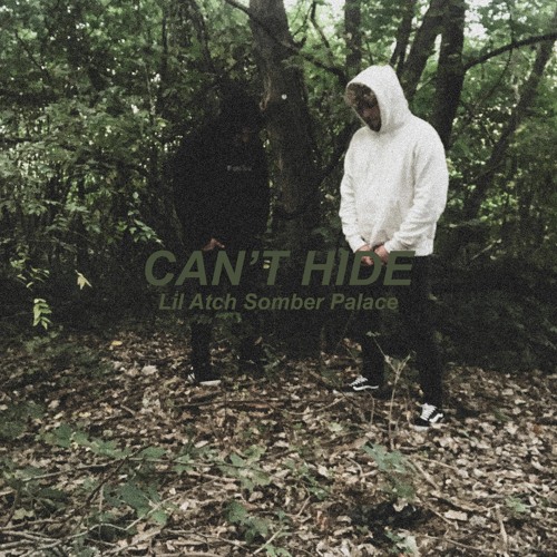 Can't Hide (feat. Somber Palace)