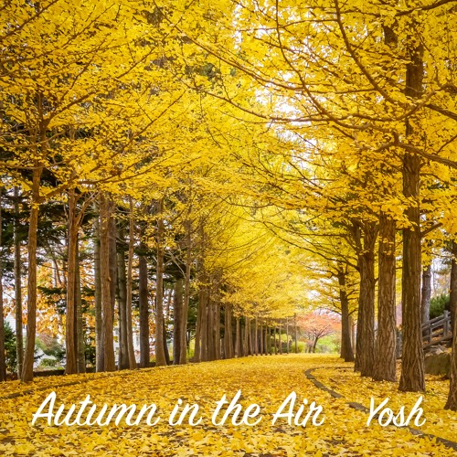 Autumn In The Air
