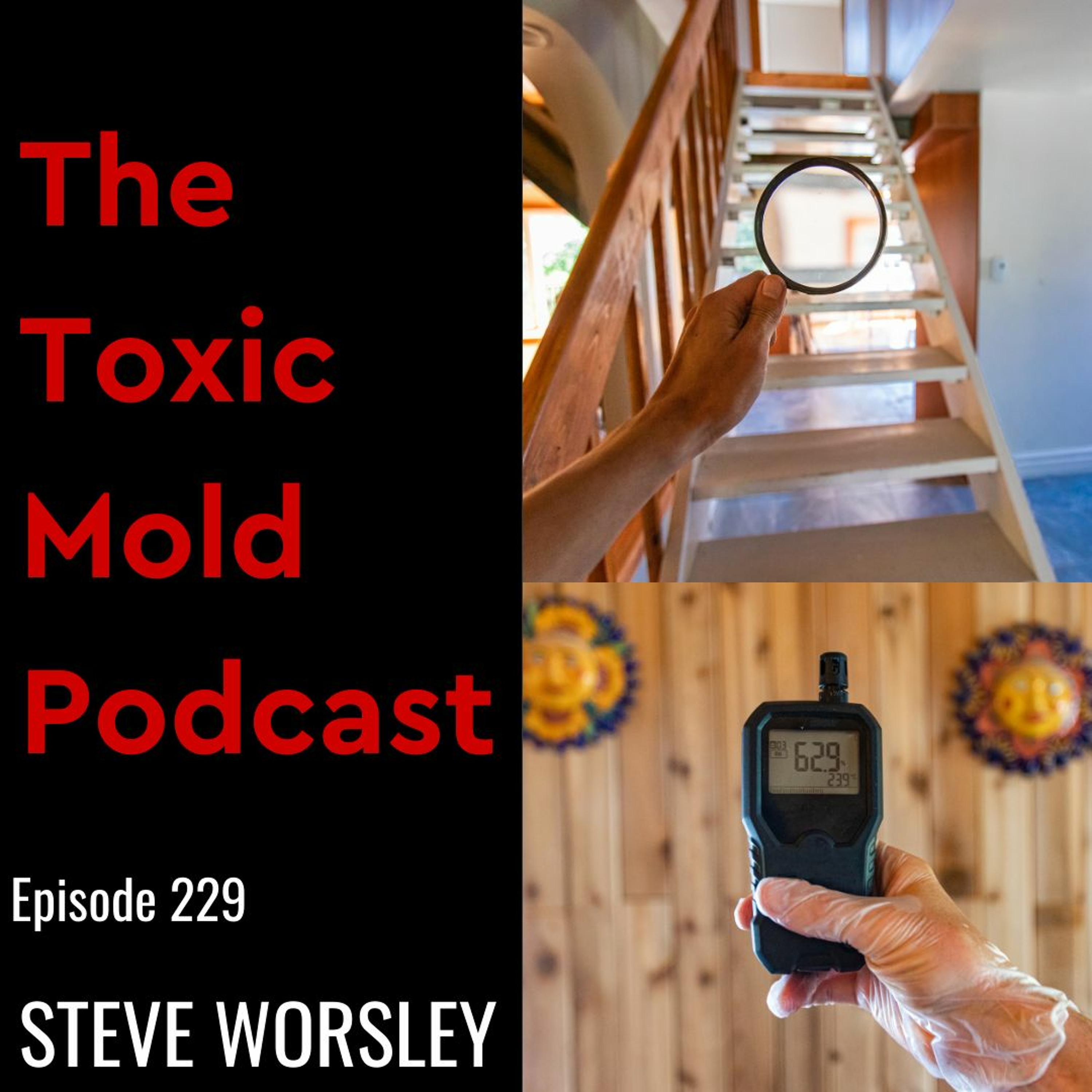 The Toxic Mold Podcast
