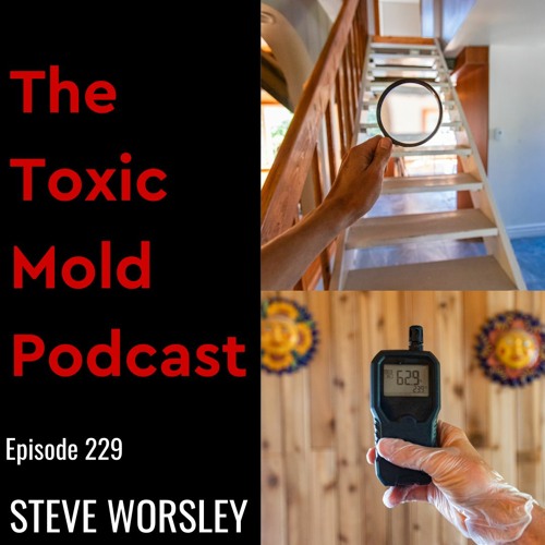 EP 229: Is an Air Test Sufficient for Toxic Mold Detection?