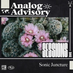 Analog Advisory Sessions 046: Sonic Juncture