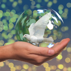 Peace