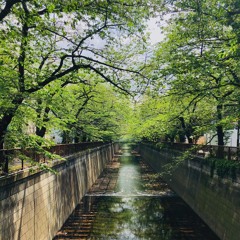 夏至 (lostcage)