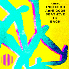 INDIESCO - Flabby Grooves