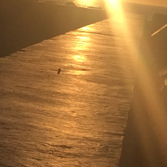 “Follow You Down” (see description )